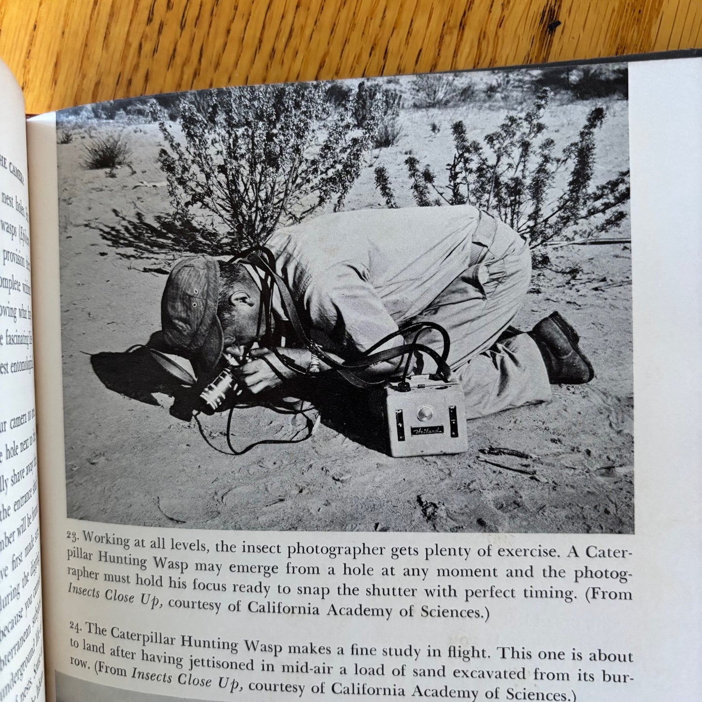 Hunting with the Camera: A Guide to Techniques and Adventure in the Field