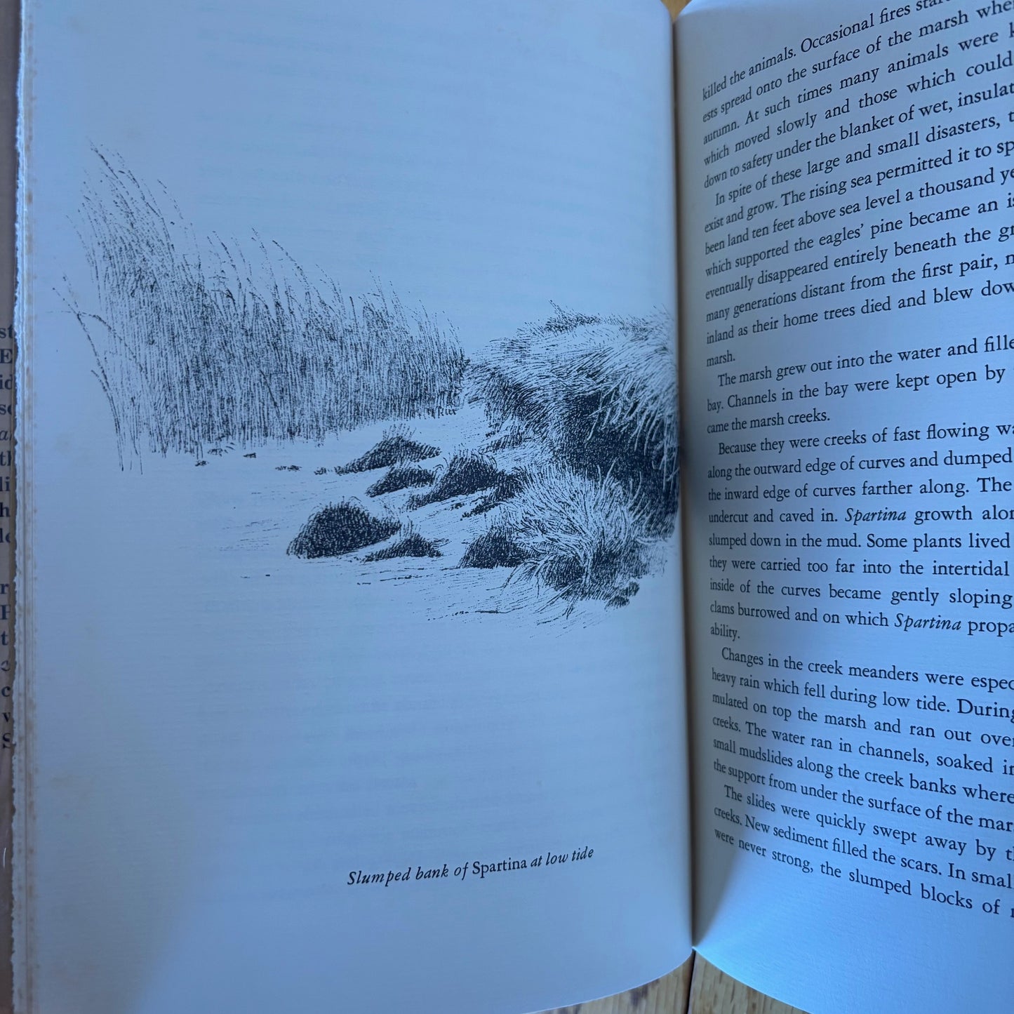 John & Mildred Teal - Life and Death of the Salt Marsh