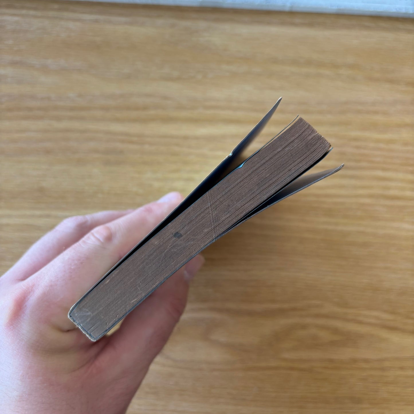 Dorothy B. Hughes - The Blackbirder - Dell Mapback