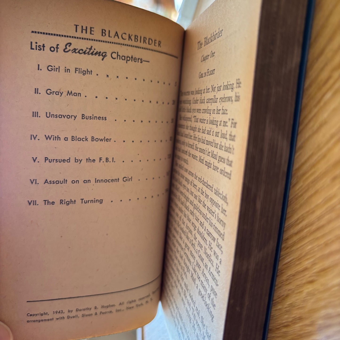 Dorothy B. Hughes - The Blackbirder - Dell Mapback