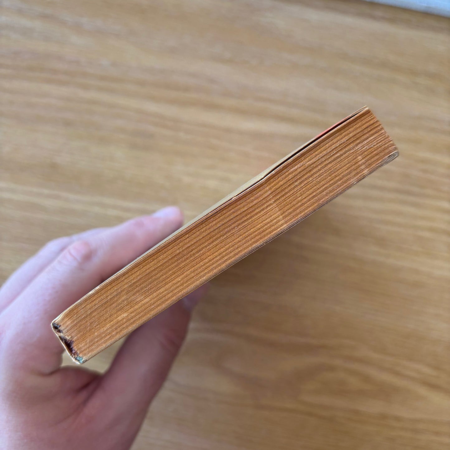 Benjamin Appel - Life and Death of a Tough Guy - First Edition