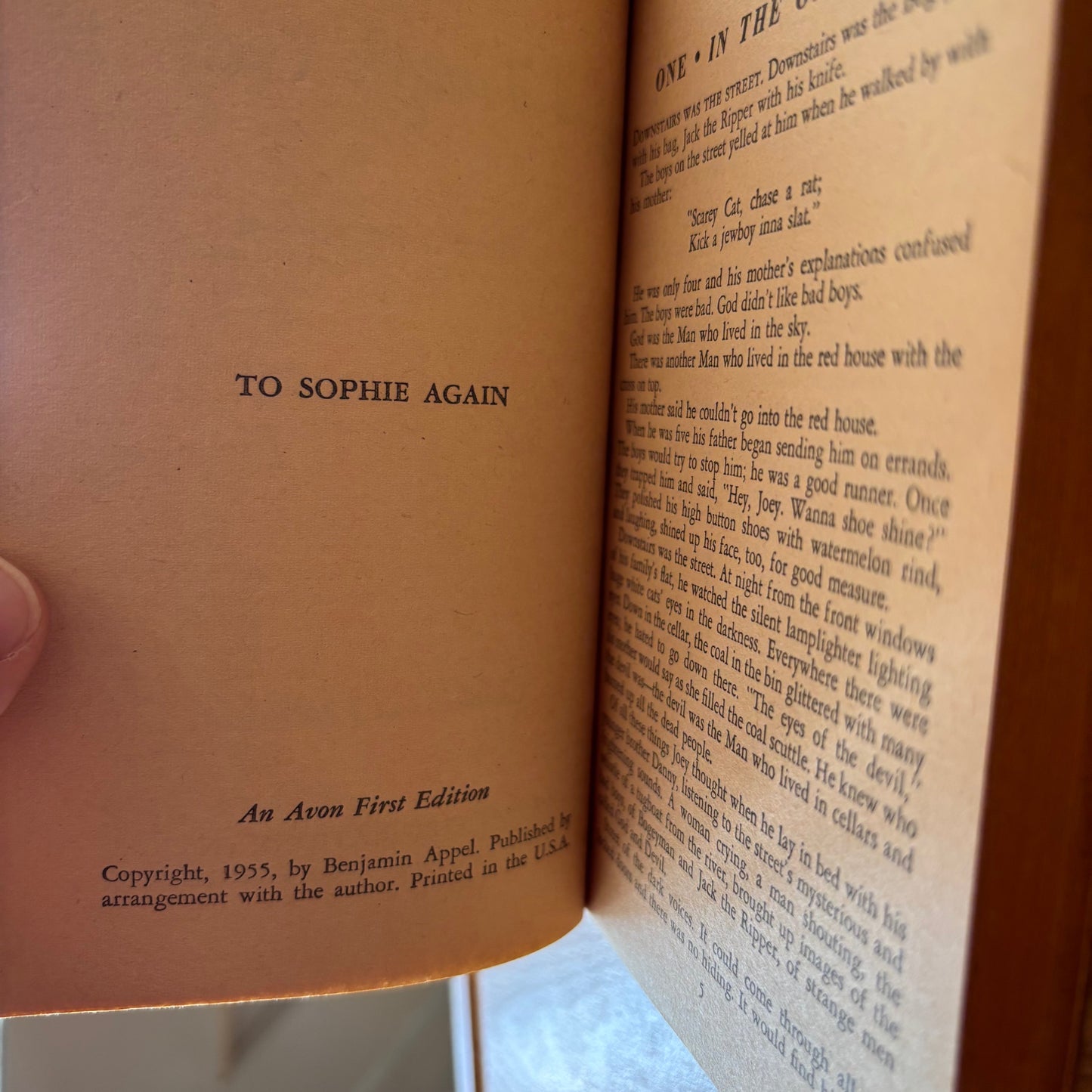 Benjamin Appel - Life and Death of a Tough Guy - First Edition