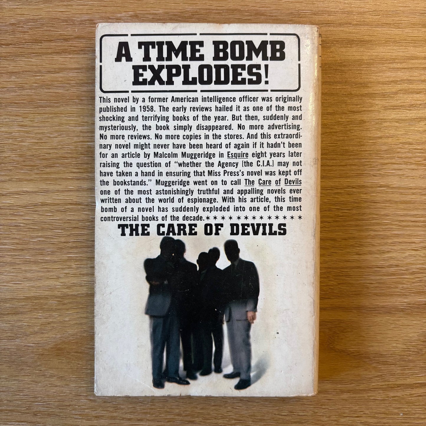 Sylvia Press - The Care of Devils - First Edition Paperback