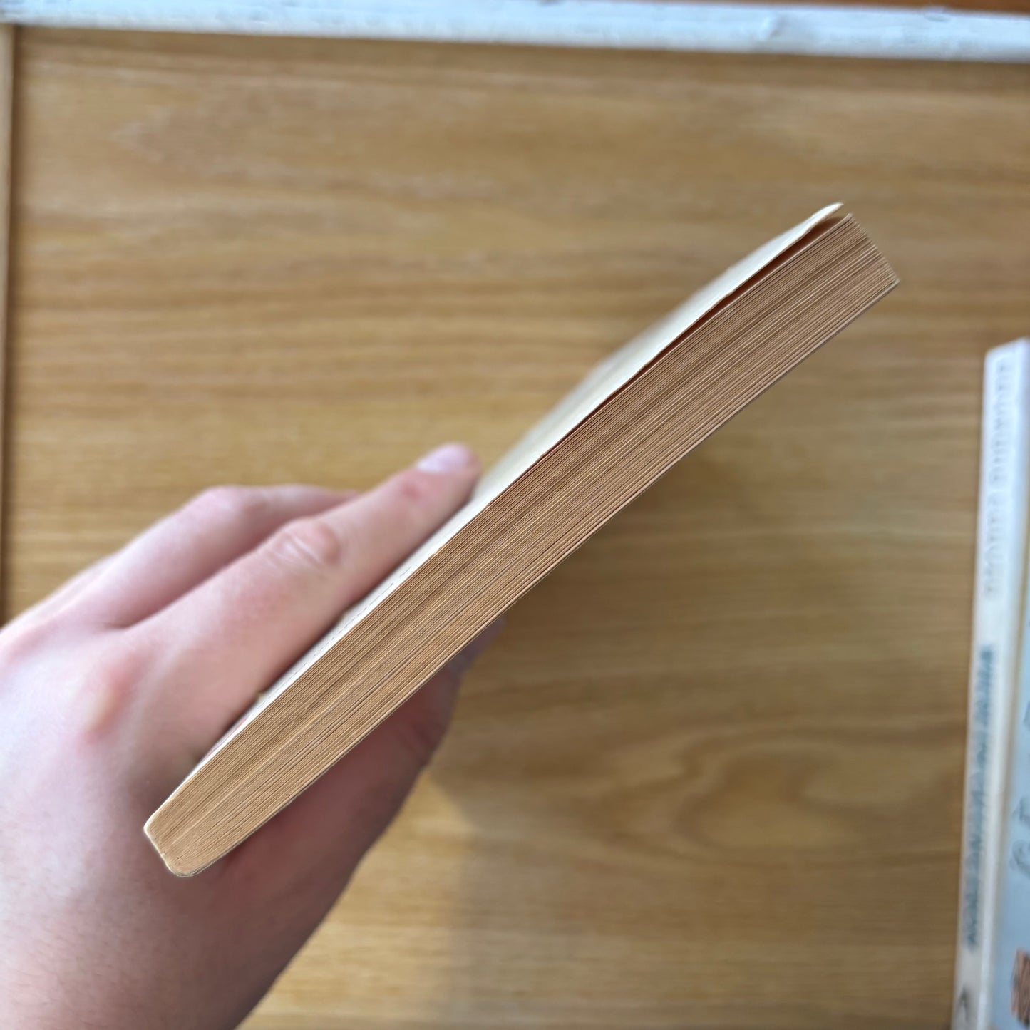 Bruno Schulz - Sanatorium Under the Sign of the Hourglass