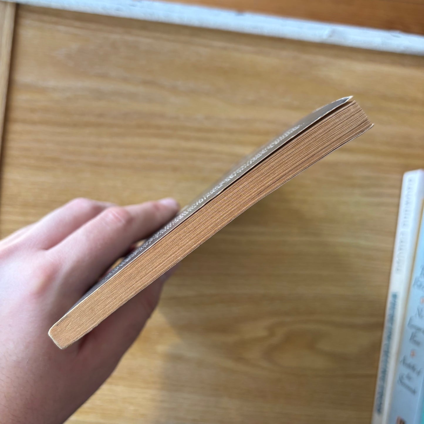 Bruno Schulz - The Street of Crocodiles