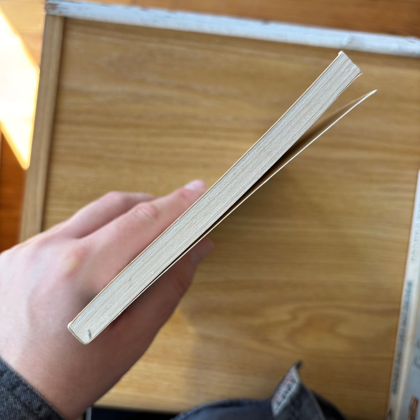 Jacques Servin - Mermaids for Attila - Signed