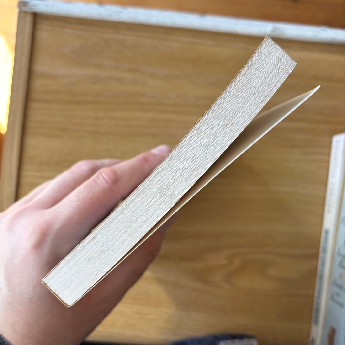 Patricia Highsmith - The Price of Salt