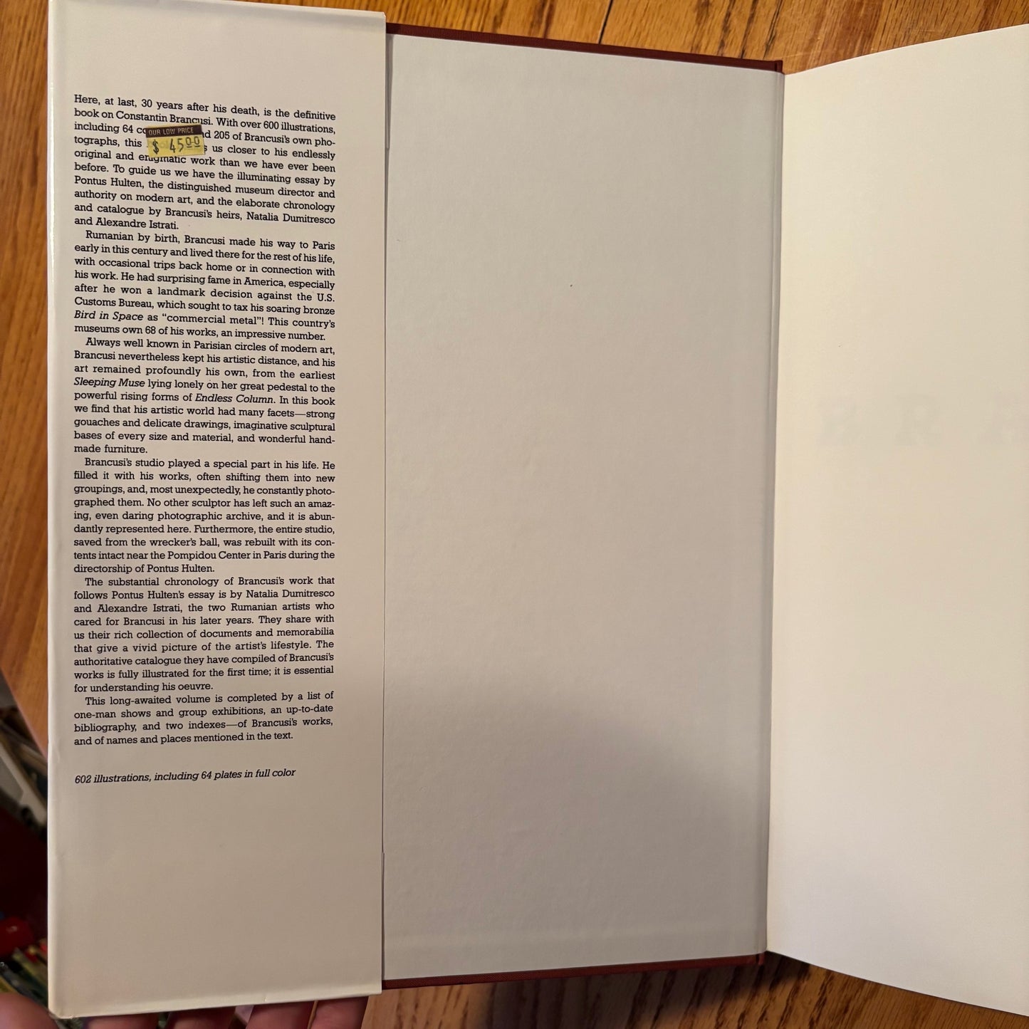 Patricia Egan, ed. - Brancusi - First Edition