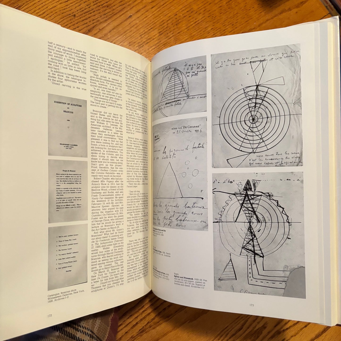 Patricia Egan, ed. - Brancusi - First Edition