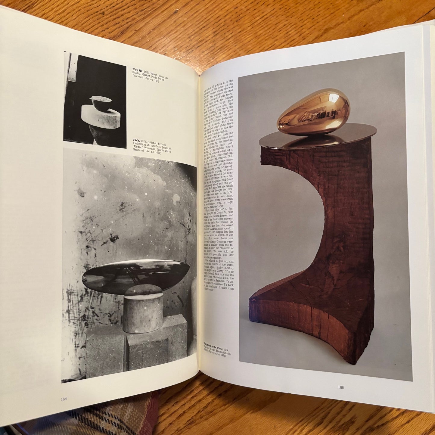 Patricia Egan, ed. - Brancusi - First Edition