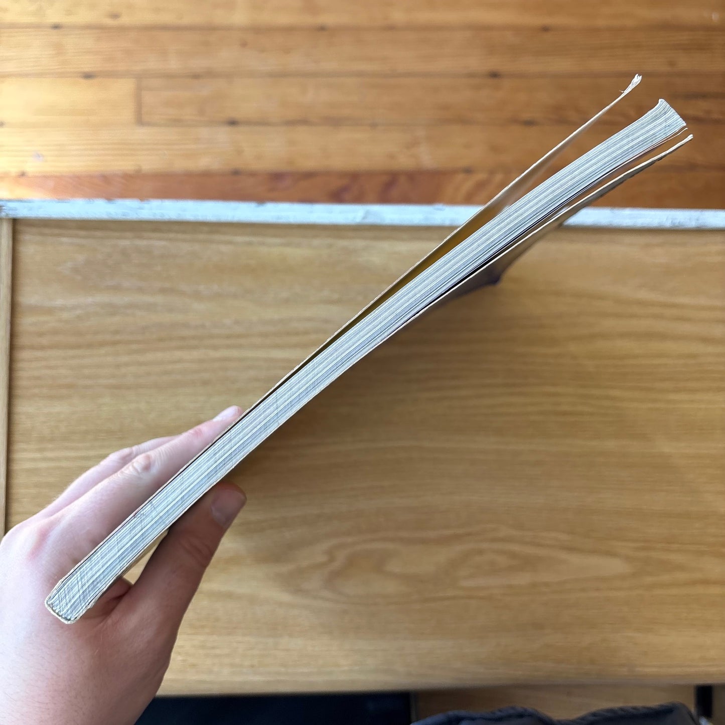 The World of the Neverending Story - First Edition Paperback