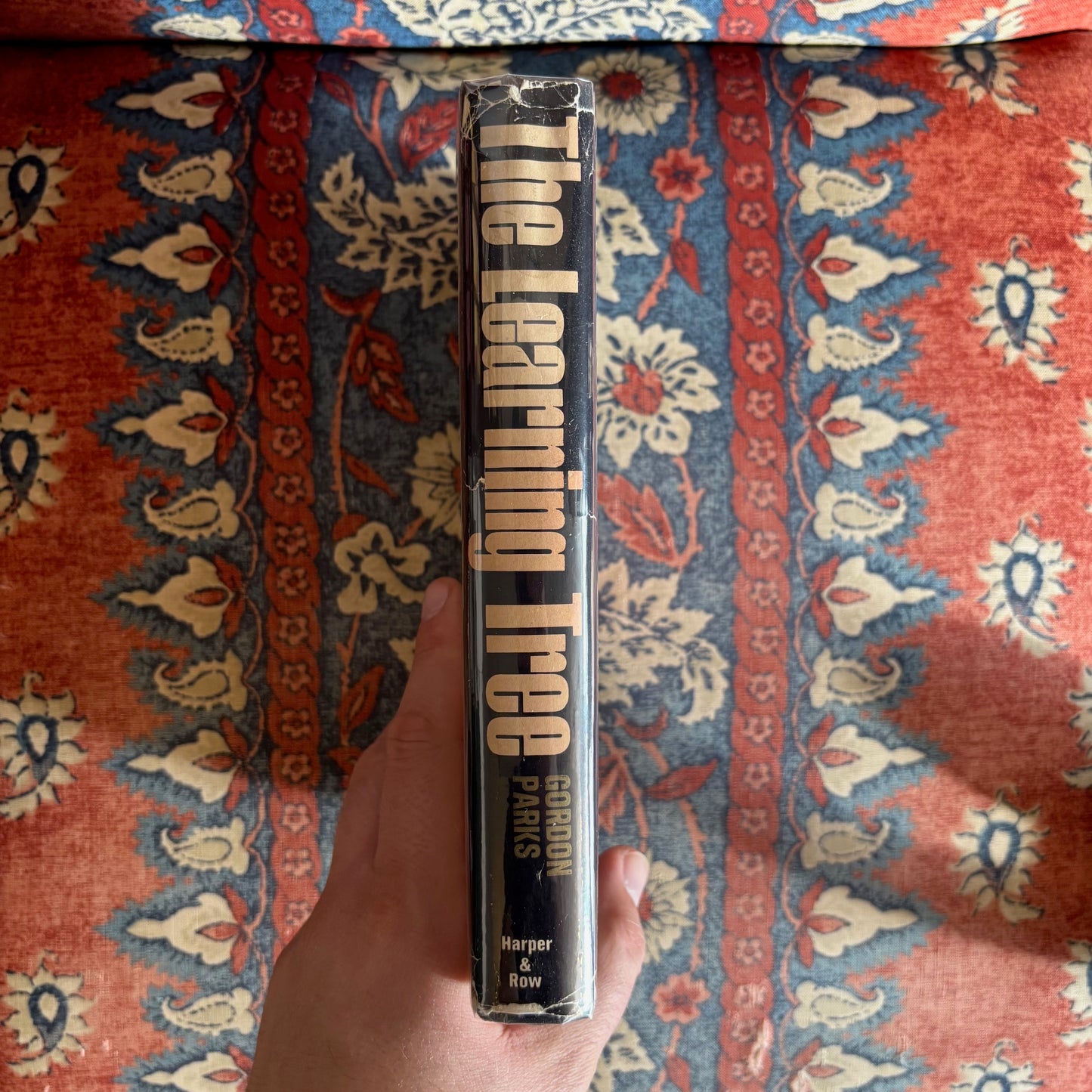 Gordon Parks - The Learning Tree - Signed