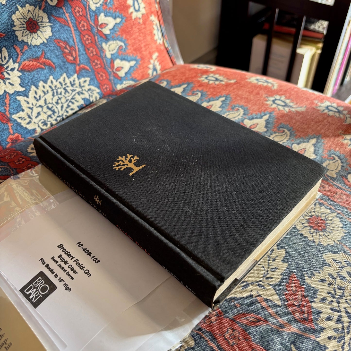 Gordon Parks - The Learning Tree - Signed