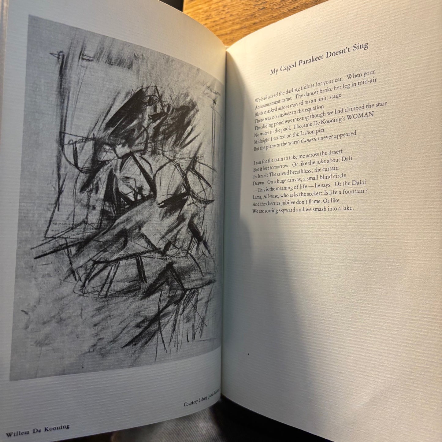 Daisy Aldan - The Detruction of Cathedrals - First Edition Hardcover