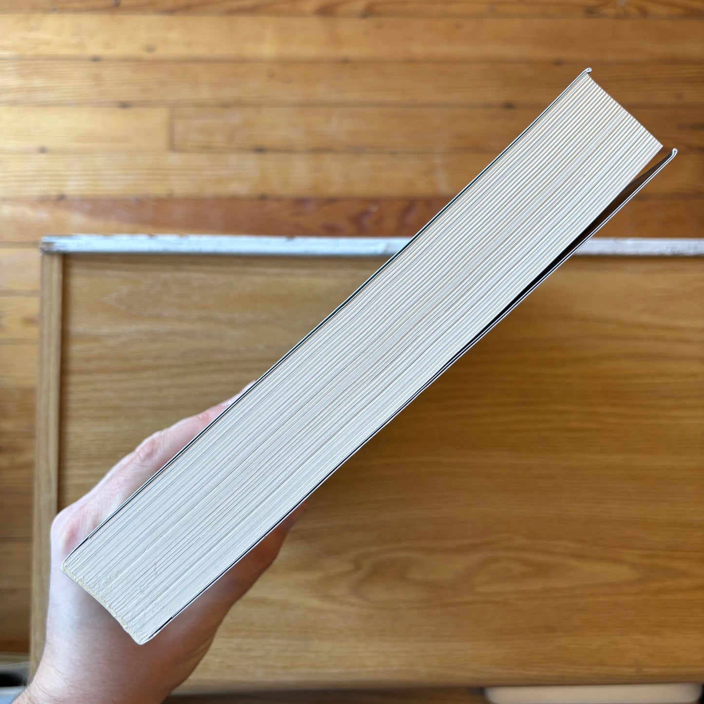 Willem de Kooning: A Retrospective