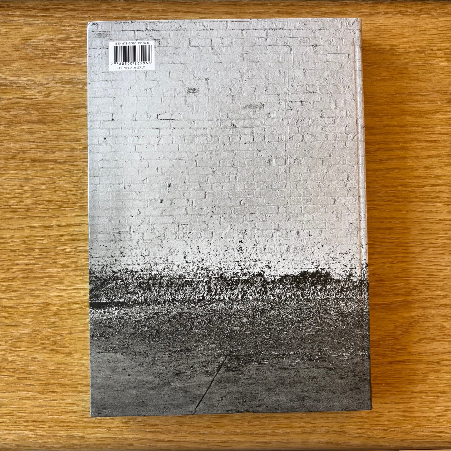 Richard Serra & Hal Foster - Conversations About Sculpture - First Edition