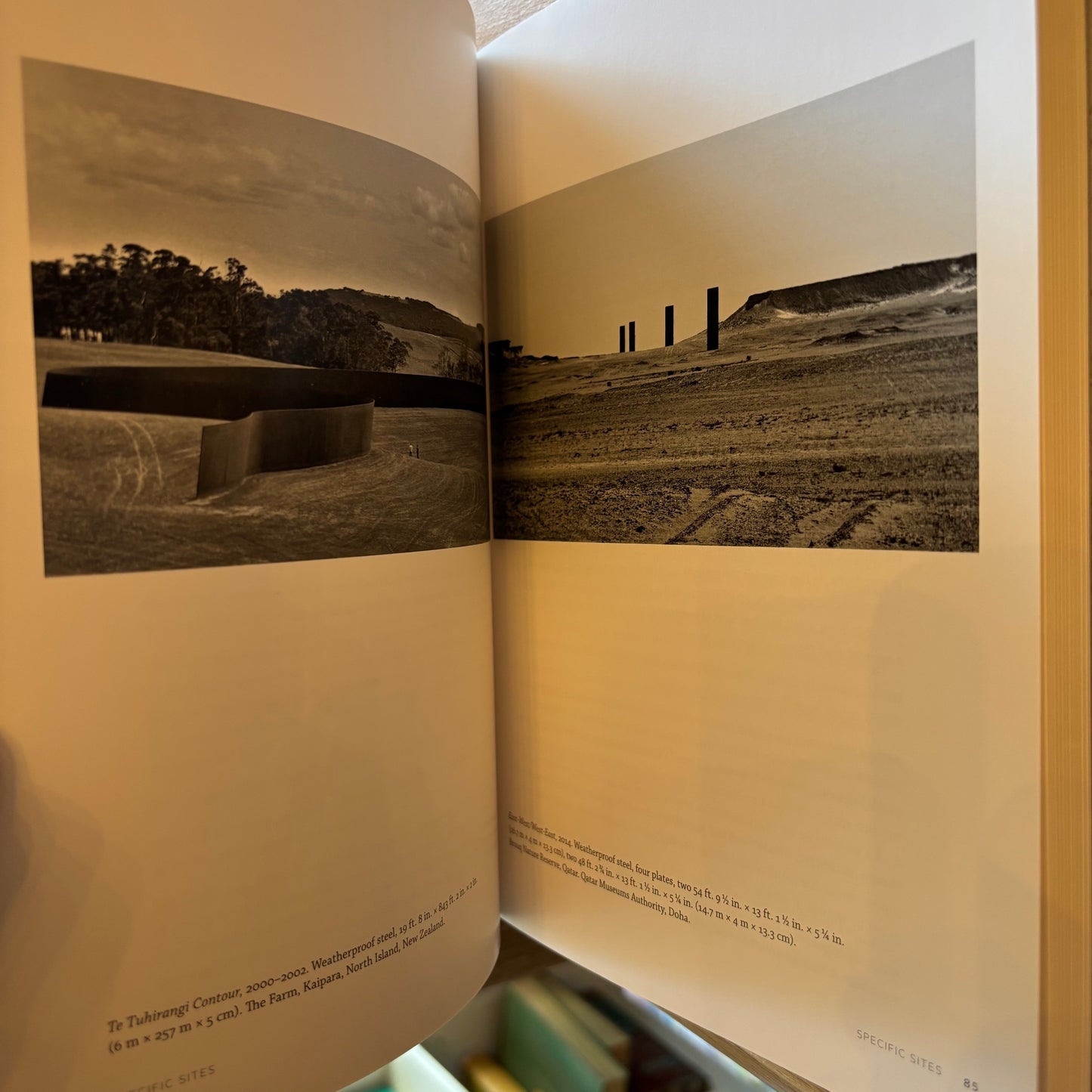 Richard Serra & Hal Foster - Conversations About Sculpture - First Edition