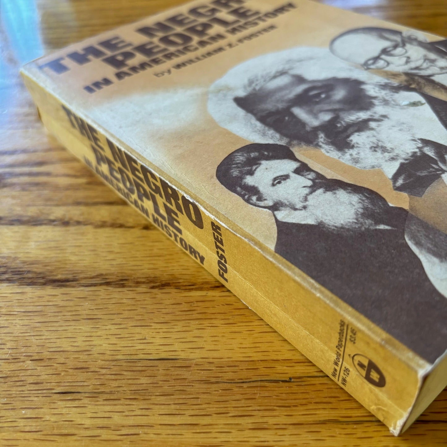 William Z. Foster - The Negro People in American History