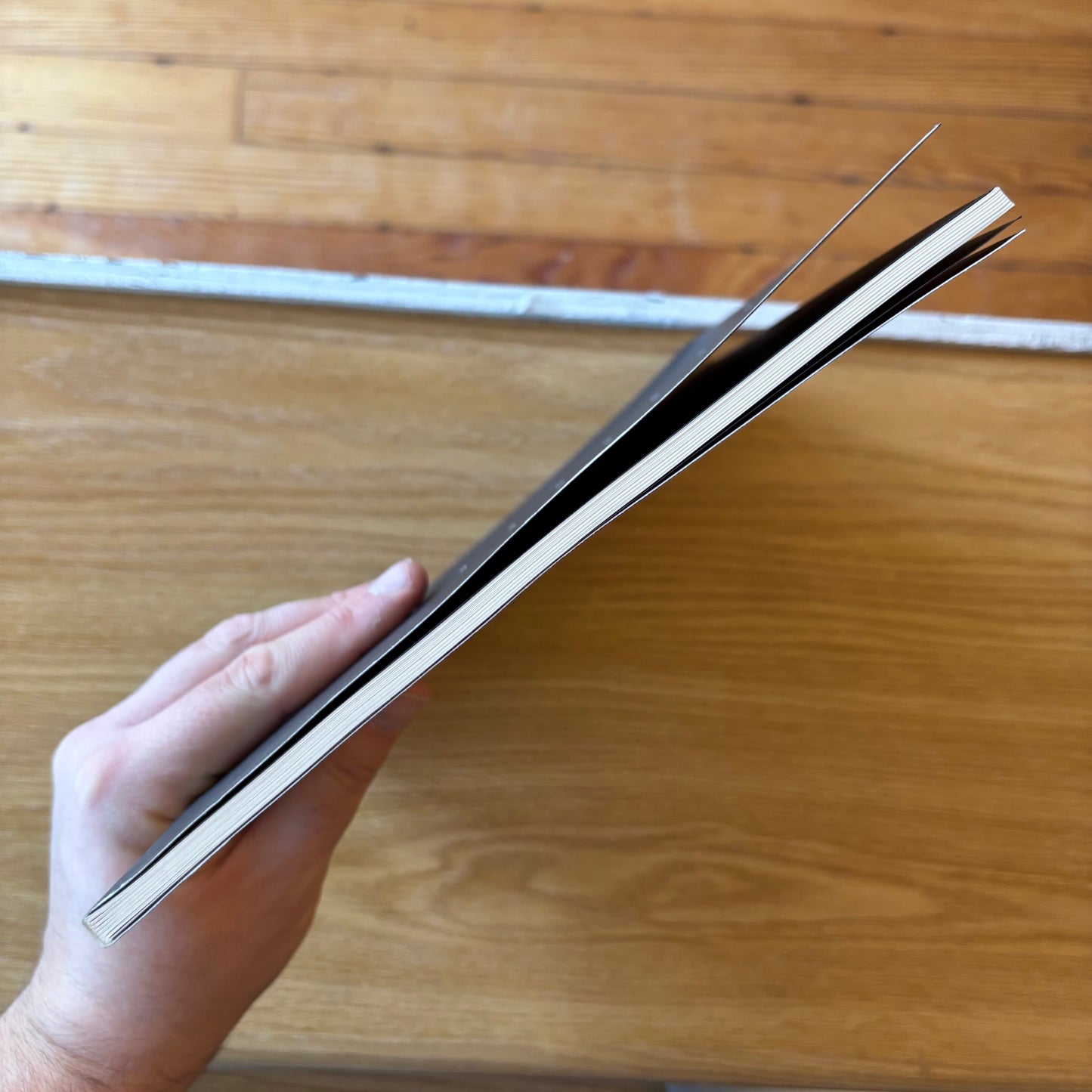 Robert Rauschenberg - Night Shades & Urban Bourbons