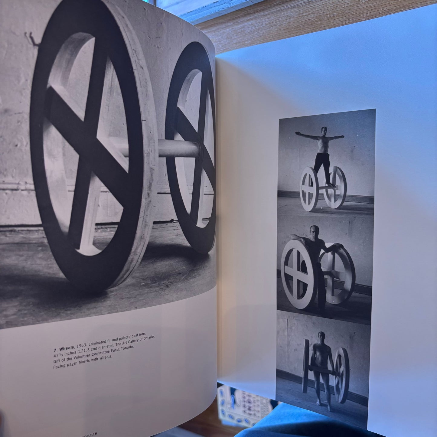 Robert Morris - The Mind/Body Problem - First Edition