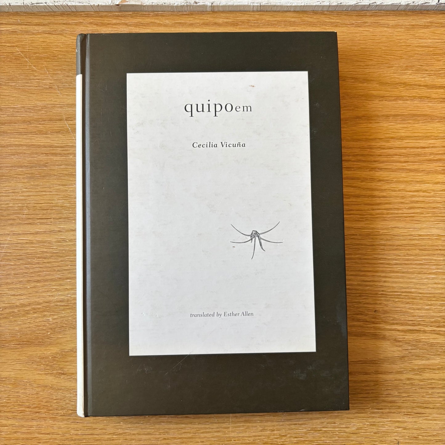 M. Catherine de Zegher, ed. - The Precarious: The Art and Poetry of Cecilia Vicuña / Cecilia Vicuña - Quipoem - First Edition