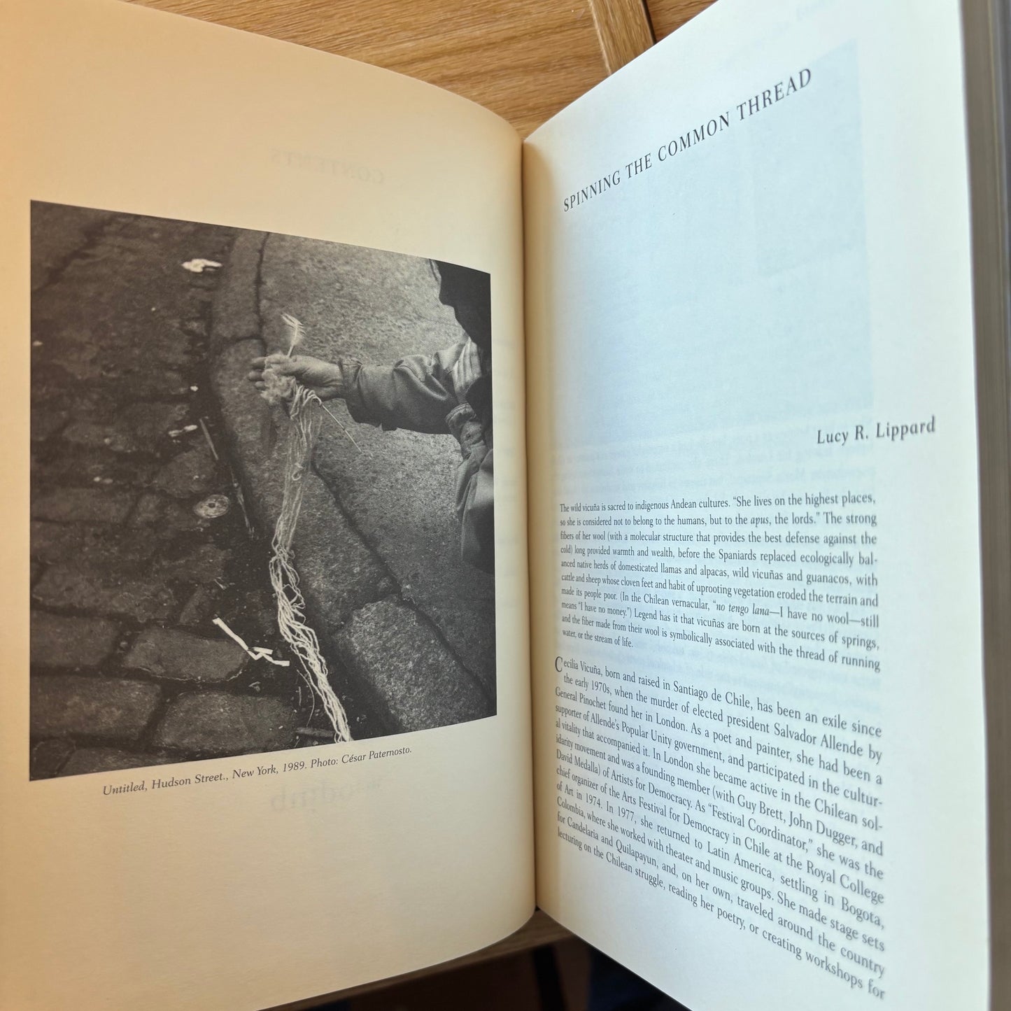 M. Catherine de Zegher, ed. - The Precarious: The Art and Poetry of Cecilia Vicuña / Cecilia Vicuña - Quipoem - First Edition