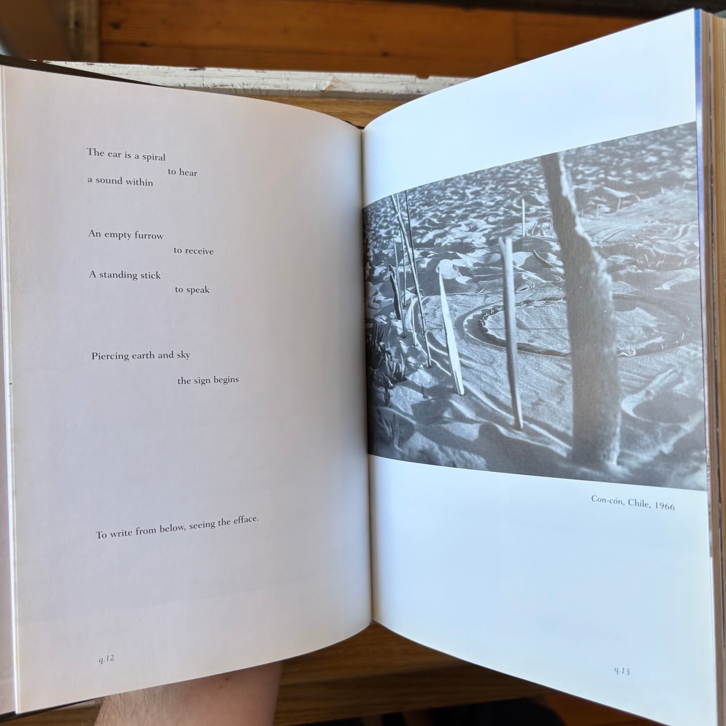 M. Catherine de Zegher, ed. - The Precarious: The Art and Poetry of Cecilia Vicuña / Cecilia Vicuña - Quipoem - First Edition