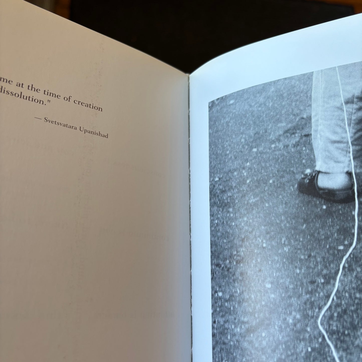 M. Catherine de Zegher, ed. - The Precarious: The Art and Poetry of Cecilia Vicuña / Cecilia Vicuña - Quipoem - First Edition