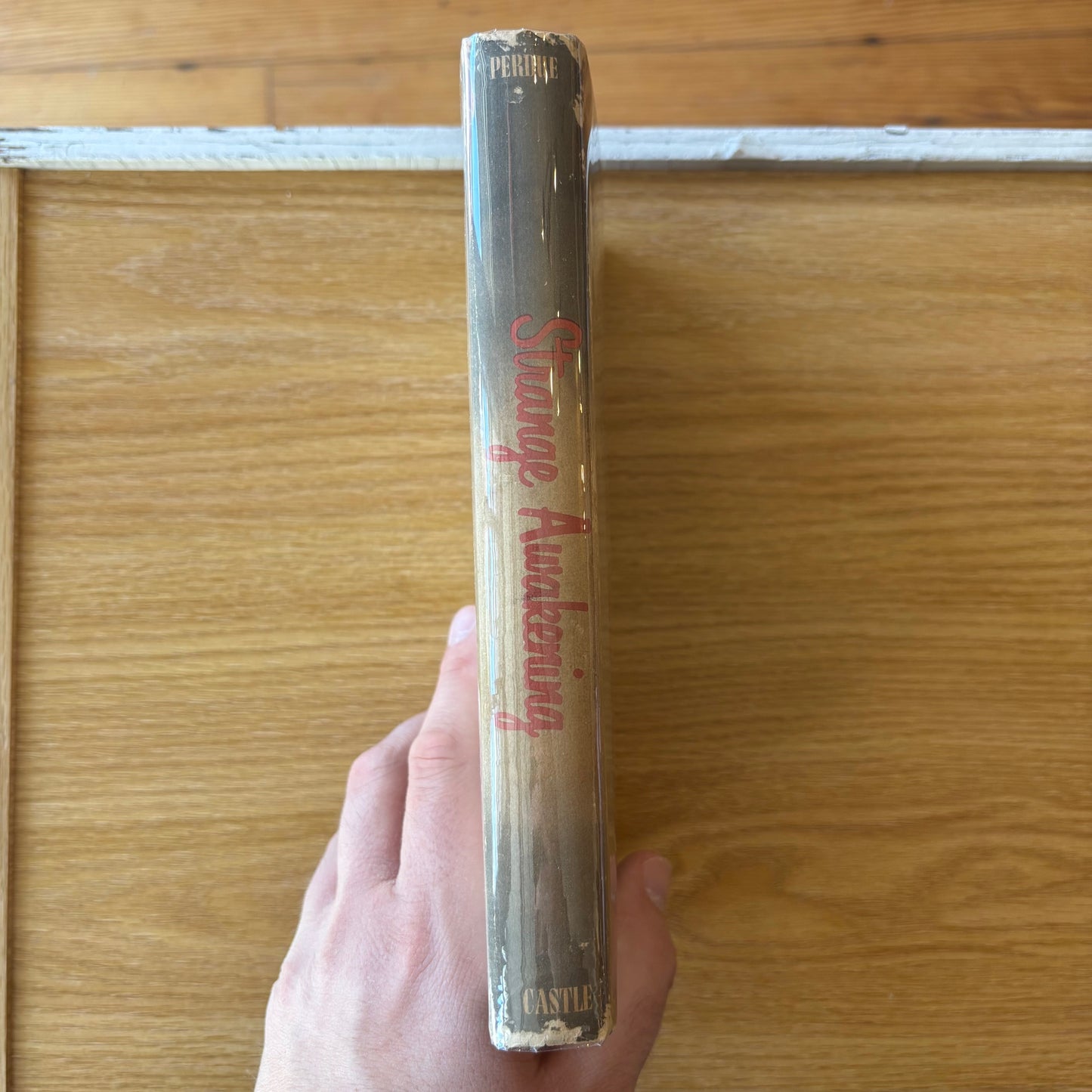 Jacques Perdue - Strange Awakening