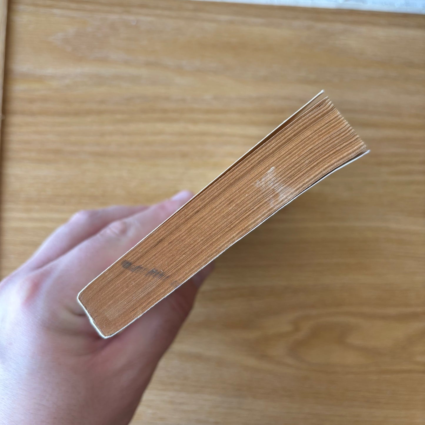 Donald D. Cheatham - Rip Tide - First Edition