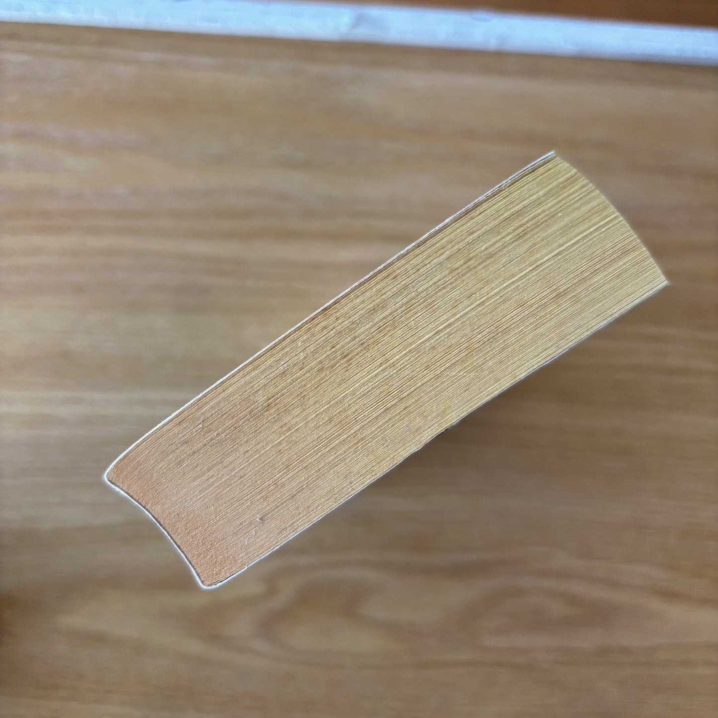 William W. Johnstone - Rockinghorse - First Edition