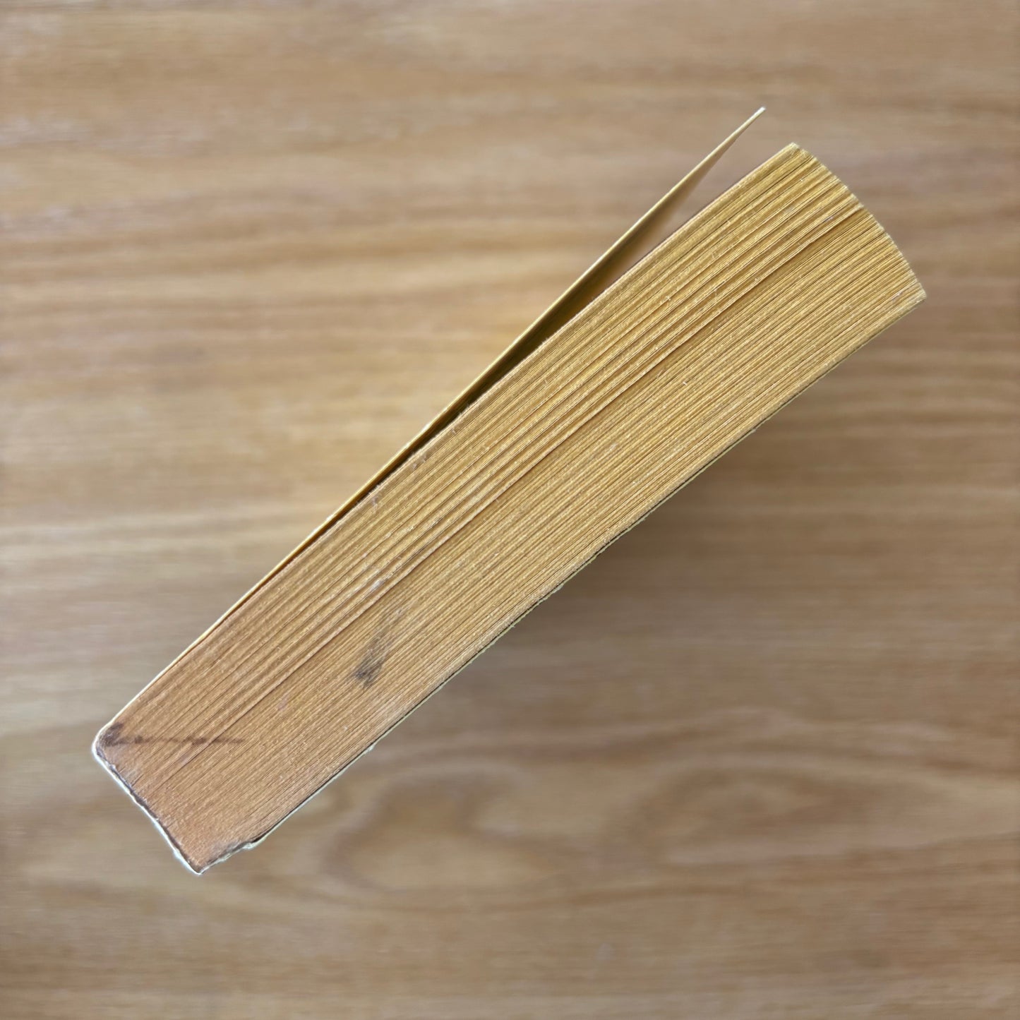 Andrew Neiderman - Night Howl - First Edition