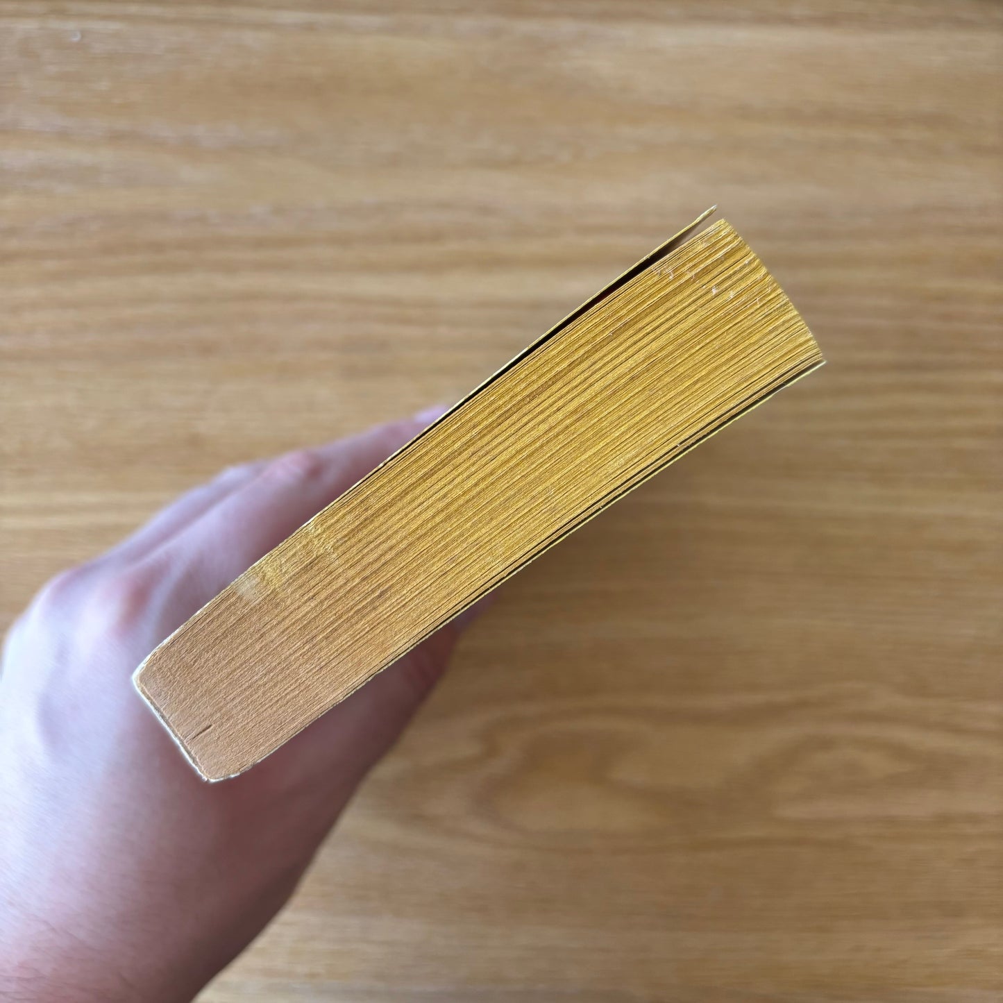 Andrew Neiderman - The Devil's Advocate - First Edition