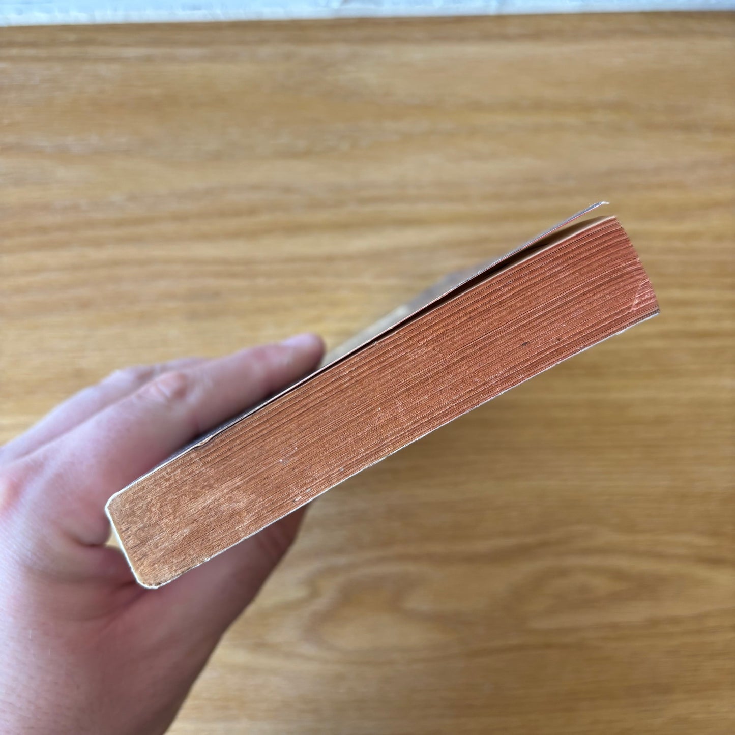 Larry Brand - Birthpyre - First Edition