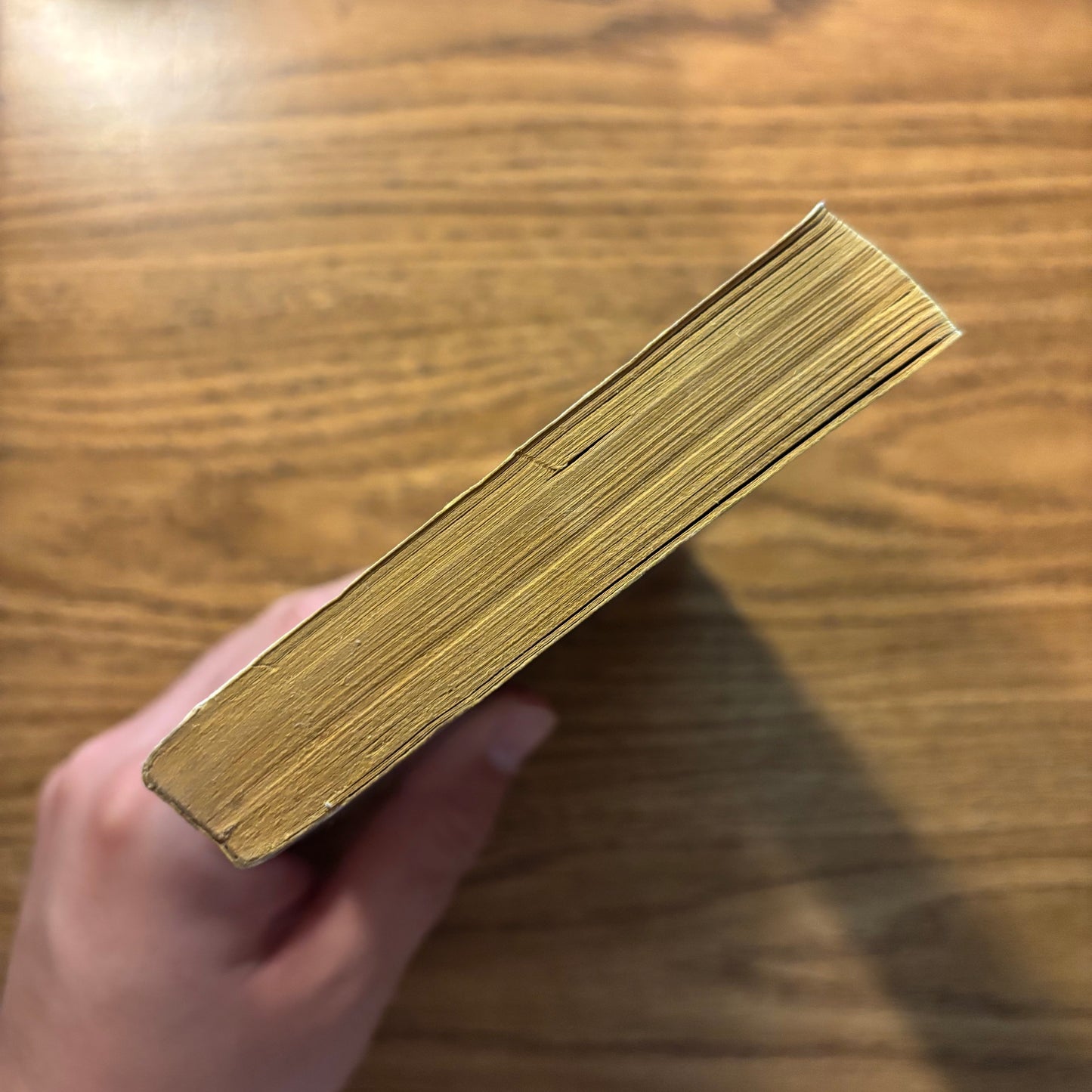 Gene Wolfe - The Shadow of the Torturer - First Edition Paperback