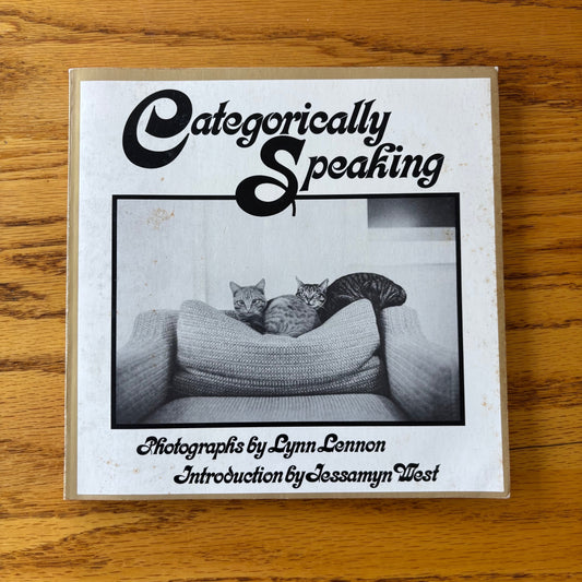 Lynn Lennon - Categorically Speaking