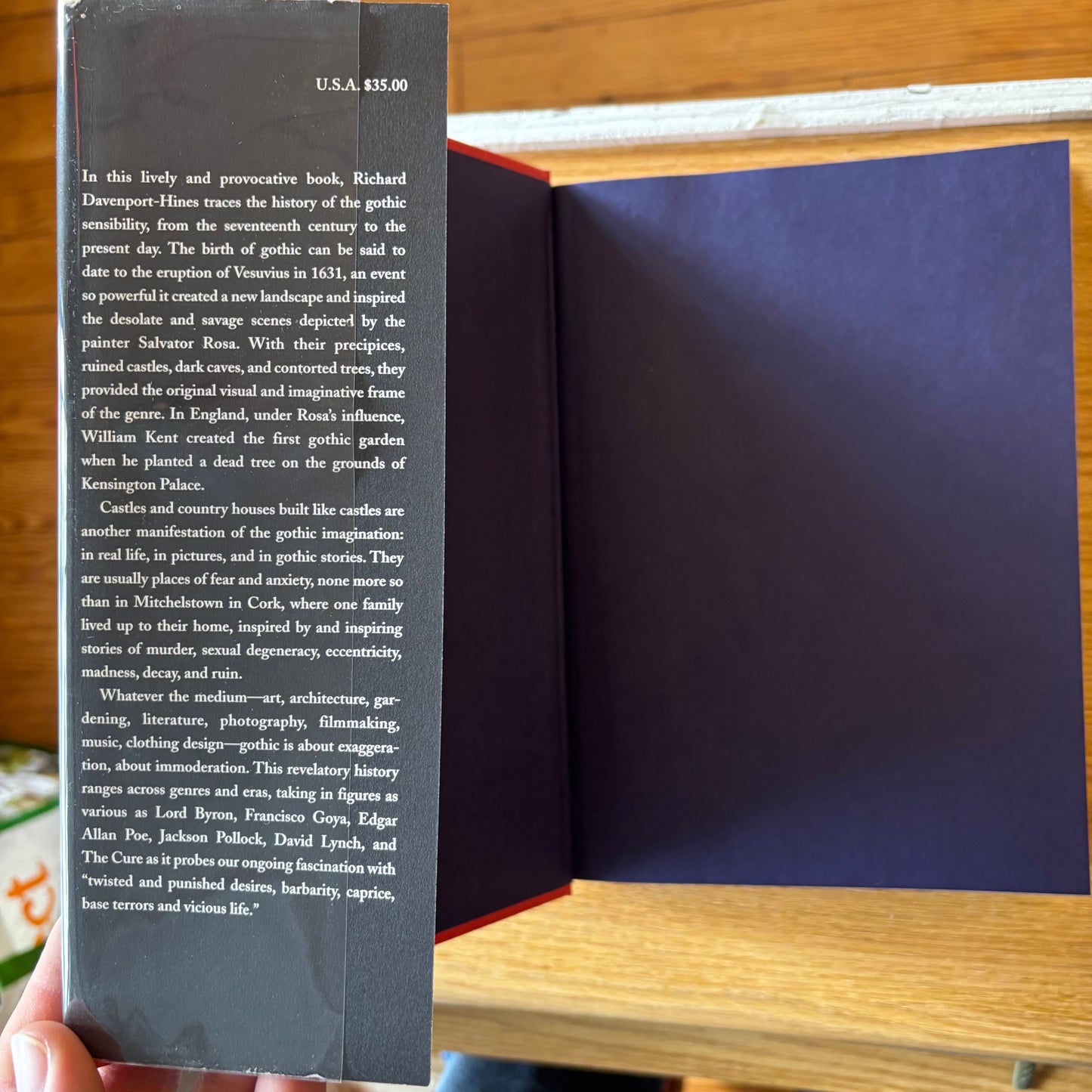 Richard Davenport-Hines - Gothic: Four Hundred Years of Excess, Horror, Evil and Ruin - First Edition