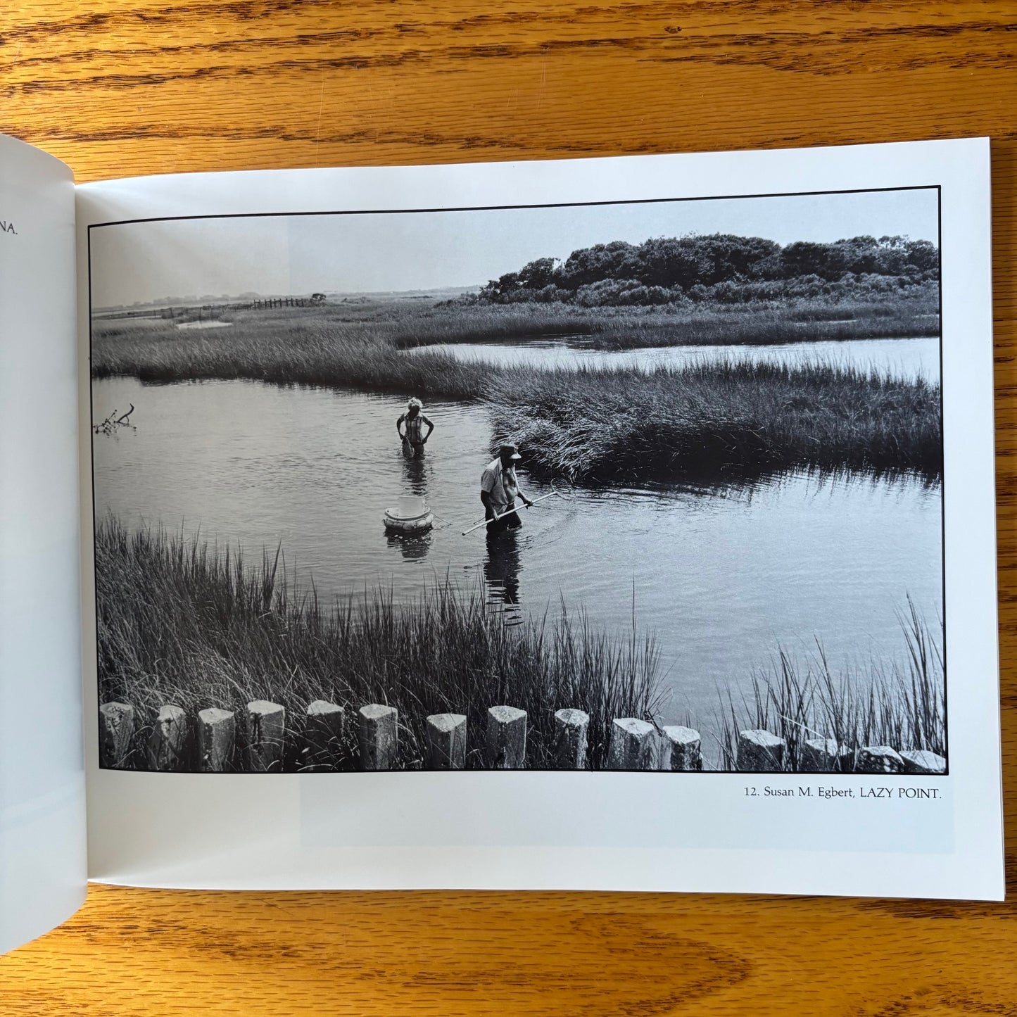 Bruce Poli - Suffolk County: A Place in Time