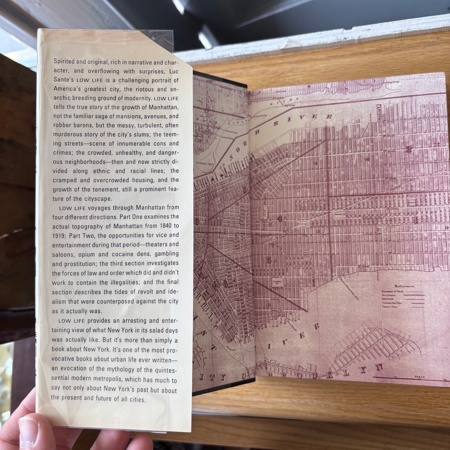 (Lucy Sante) Luc Sante - Low Life - First Edition