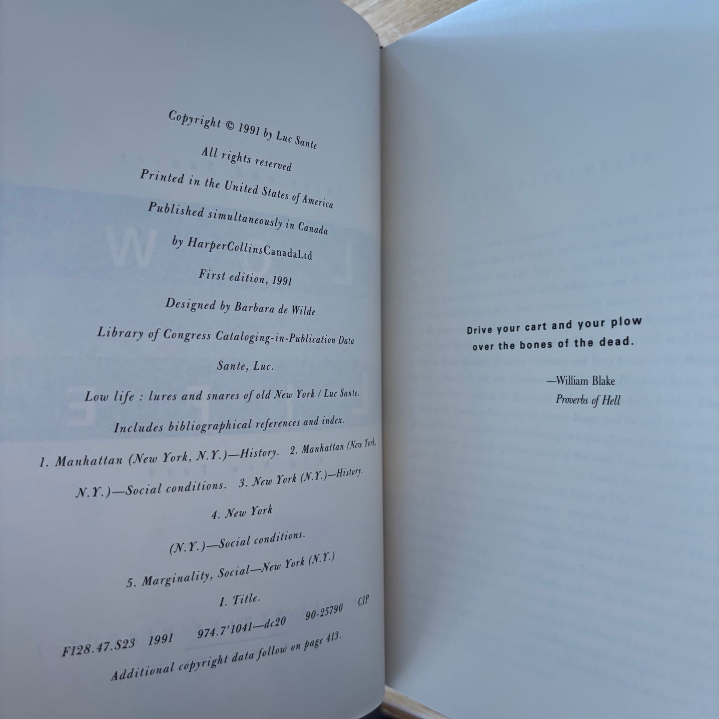 (Lucy Sante) Luc Sante - Low Life - First Edition