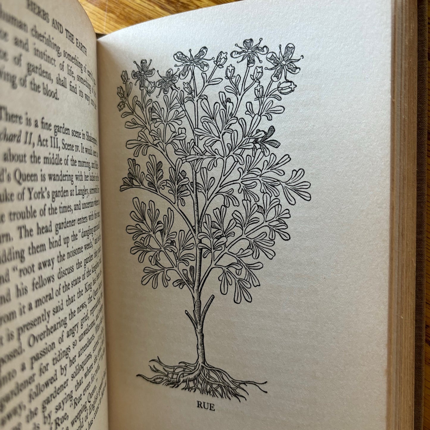 Henry Beston - Herbs and the Earth - First Edition