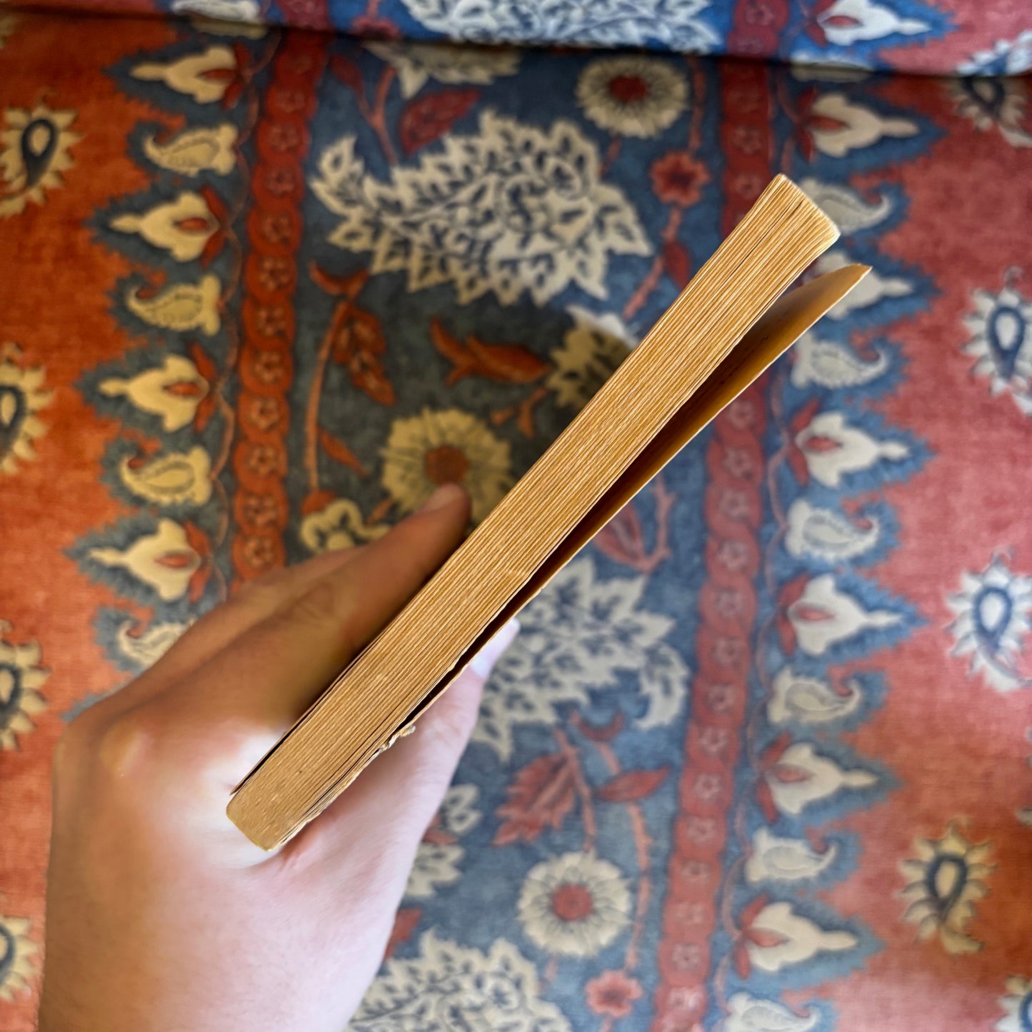 Diane Wakoski - The Motorcycle Betrayal Poems