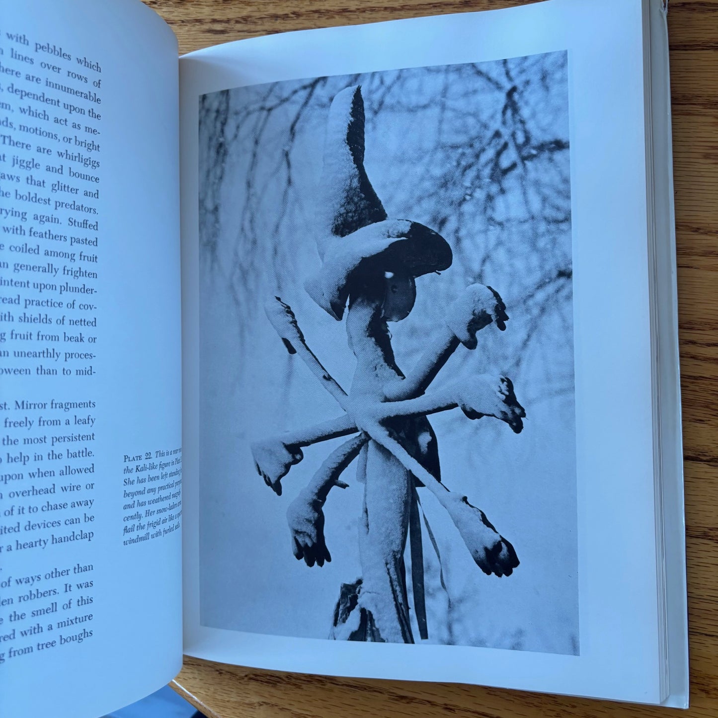 Avon Neal & Ann Parker - Ephemeral Folk Figures: Scarecrows, Harvest Figures, and Snowmen - First Edition