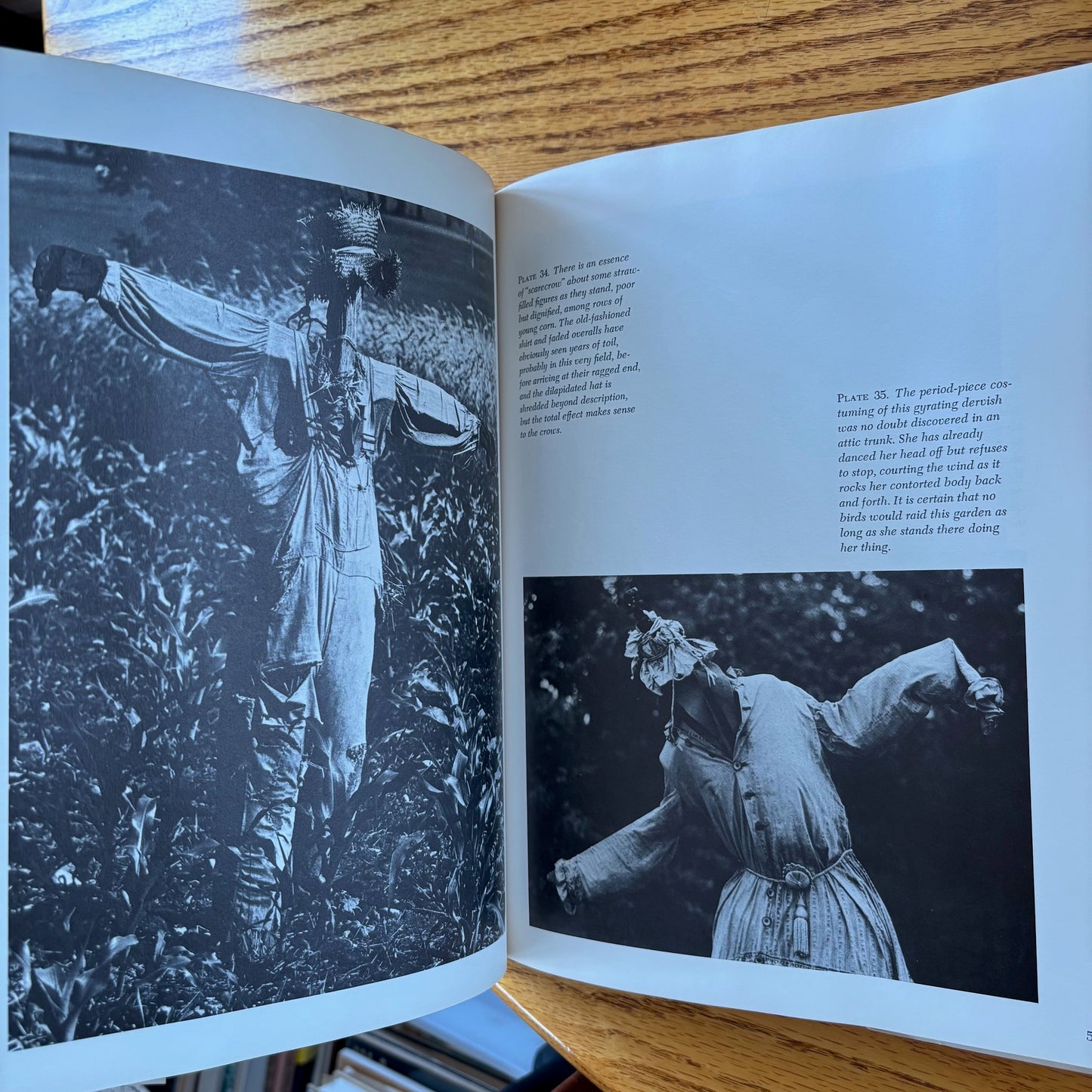 Avon Neal & Ann Parker - Ephemeral Folk Figures: Scarecrows, Harvest Figures, and Snowmen - First Edition