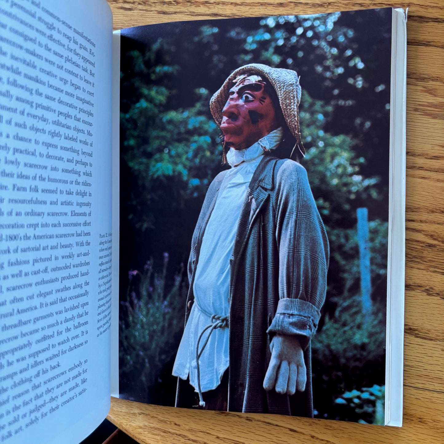 Avon Neal & Ann Parker - Ephemeral Folk Figures: Scarecrows, Harvest Figures, and Snowmen - First Edition