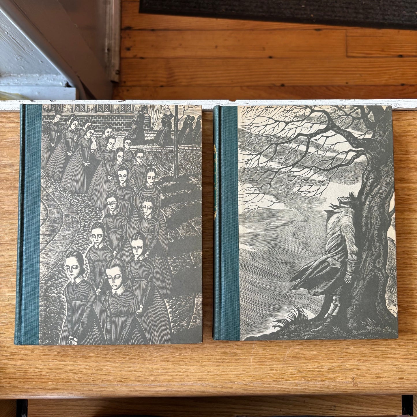 Charlotte Bronte - Jane Eyre & Wuthering Heights - Illustrated Set