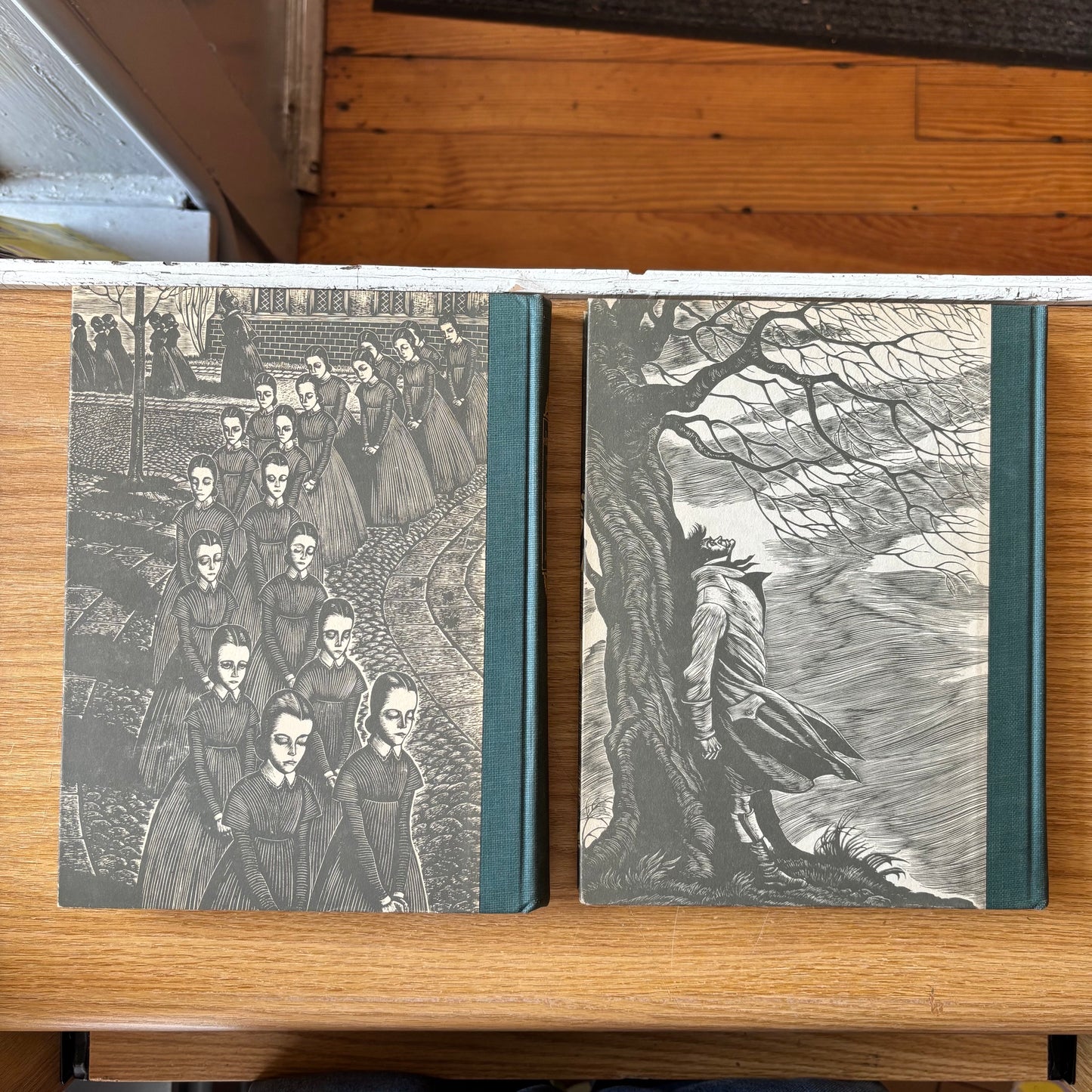 Charlotte Bronte - Jane Eyre & Wuthering Heights - Illustrated Set
