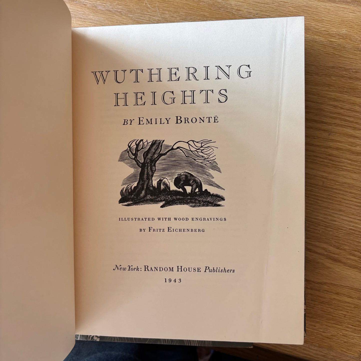 Charlotte Bronte - Jane Eyre & Wuthering Heights - Illustrated Set