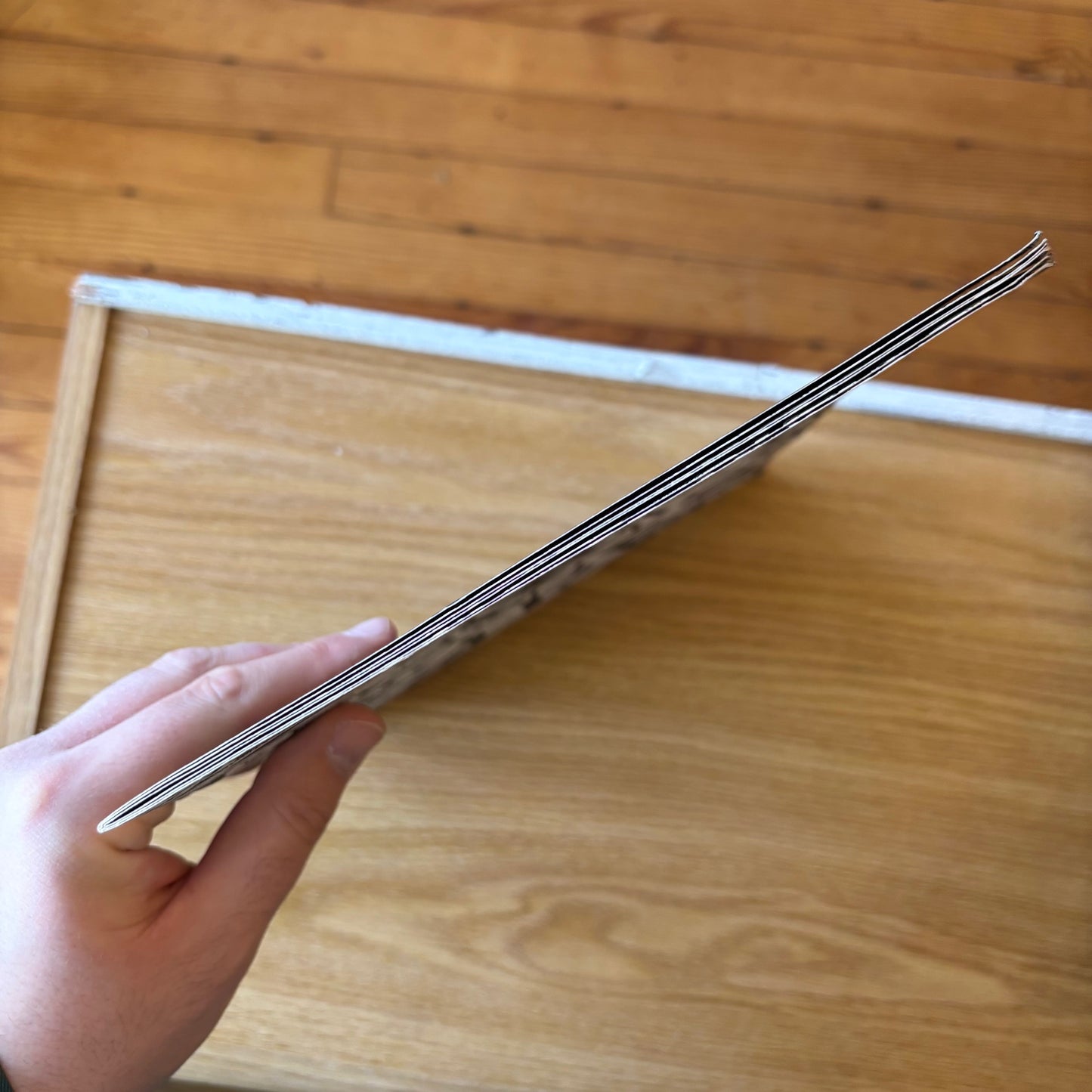 Alfonso Ossorio - Bioscapes