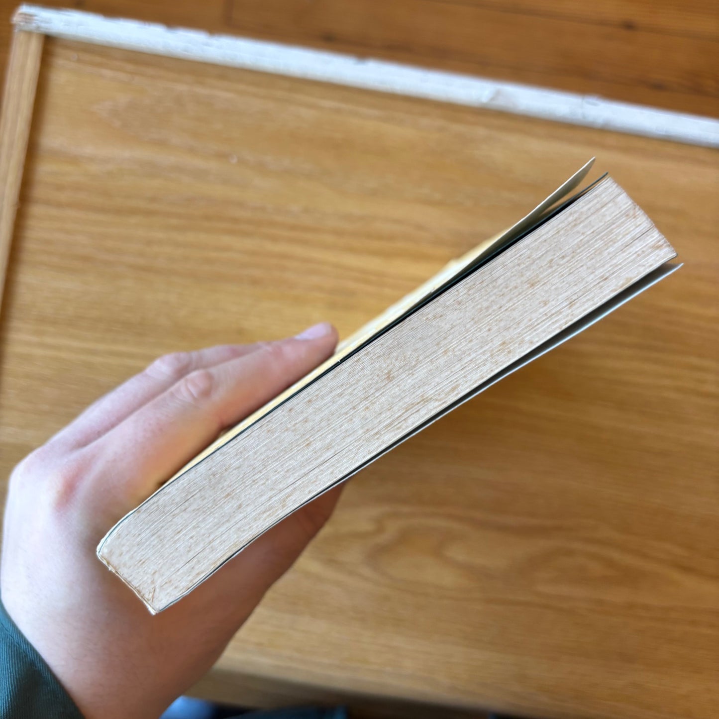 Eileen Myles - Chelsea Girls - Signed First Edition Paperback